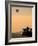 Hot Air Balloons Flying Over the Maasai Mara, Kenya-Joe Restuccia III-Framed Photographic Print