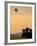 Hot Air Balloons Flying Over the Maasai Mara, Kenya-Joe Restuccia III-Framed Photographic Print