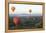 Hot Air Balloons Flying over the Terracotta Temples of Bagan-Annie Owen-Framed Premier Image Canvas