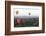 Hot Air Balloons Flying over the Terracotta Temples of Bagan-Annie Owen-Framed Photographic Print