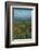 Hot air balloons, morning view of the temples of Bagan, Myanmar.-Michele Niles-Framed Photographic Print