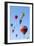 Hot Air Balloons-Friedrich Saurer-Framed Photographic Print