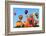 Hot Air Balloons-topseller-Framed Photographic Print