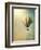 Hot Air Baloon-egal-Framed Photographic Print