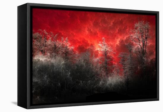 Hot and Cold-Philippe Sainte-Laudy-Framed Premier Image Canvas