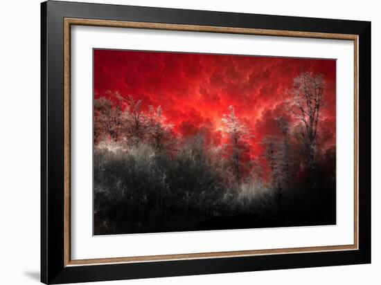 Hot and Cold-Philippe Sainte-Laudy-Framed Photographic Print