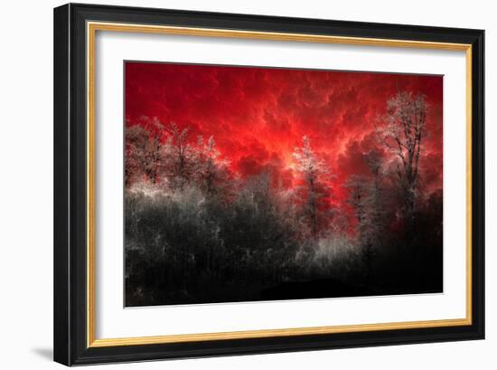 Hot and Cold-Philippe Sainte-Laudy-Framed Photographic Print