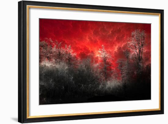 Hot and Cold-Philippe Sainte-Laudy-Framed Photographic Print