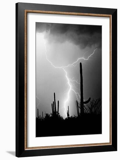 Hot August Night BW-Douglas Taylor-Framed Photo