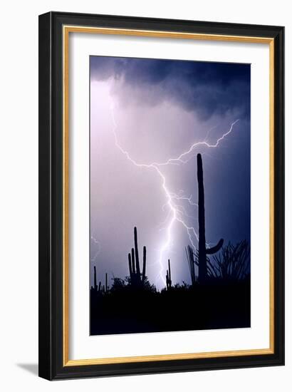 Hot August Night-Douglas Taylor-Framed Photo