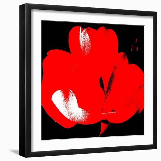 Hot Bloom I-Herb Dickinson-Framed Photographic Print