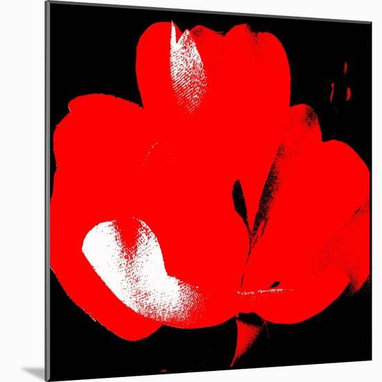 Hot Bloom I-Herb Dickinson-Mounted Photographic Print