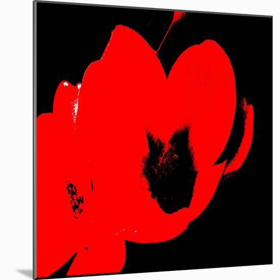 Hot Bloom II-Herb Dickinson-Mounted Photographic Print