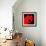Hot Bloom II-Herb Dickinson-Framed Photographic Print displayed on a wall