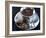 Hot Chocolate with Chocolate Biscuits-Alena Hrbkova-Framed Photographic Print