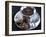 Hot Chocolate with Chocolate Biscuits-Alena Hrbkova-Framed Photographic Print