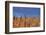 Hot Dog Reeds-Bob Larson-Framed Art Print