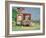 Hot Dog Stand-Sarah Butterfield-Framed Giclee Print