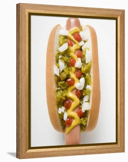 Hot Dog with Relish, Mustard, Ketchup and Onions-null-Framed Premier Image Canvas