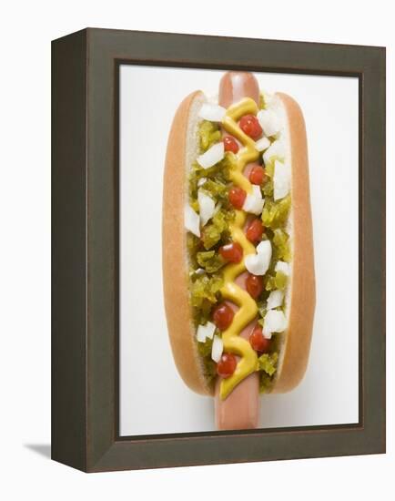Hot Dog with Relish, Mustard, Ketchup and Onions-null-Framed Premier Image Canvas