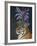 Hot House Tiger 2-Fab Funky-Framed Premium Giclee Print