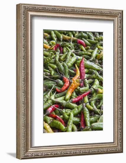 Hot Peppers of Various Color Used as Food in Indian Cuisine-Roberto Moiola-Framed Photographic Print