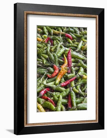 Hot Peppers of Various Color Used as Food in Indian Cuisine-Roberto Moiola-Framed Photographic Print