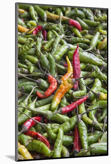 Hot Peppers of Various Color Used as Food in Indian Cuisine-Roberto Moiola-Mounted Photographic Print