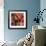 Hot Peppers-Stacy Bass-Framed Giclee Print displayed on a wall