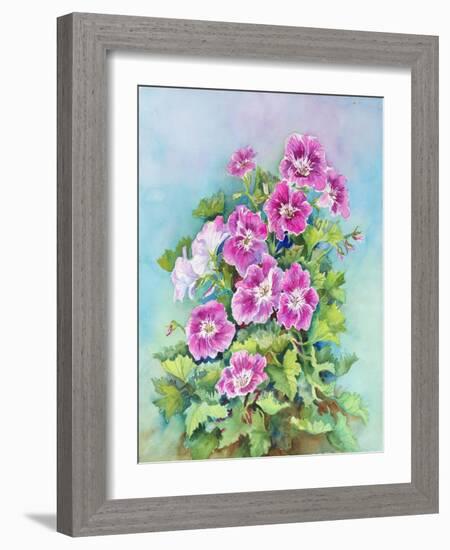 Hot Pink Blush Geraniums-Joanne Porter-Framed Giclee Print