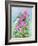 Hot Pink Blush Geraniums-Joanne Porter-Framed Giclee Print