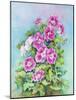 Hot Pink Blush Geraniums-Joanne Porter-Mounted Giclee Print