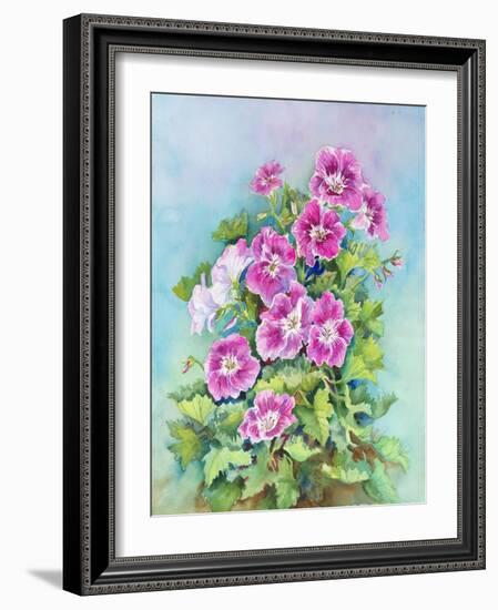 Hot Pink Blush Geraniums-Joanne Porter-Framed Giclee Print