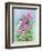 Hot Pink Blush Geraniums-Joanne Porter-Framed Giclee Print