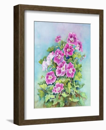 Hot Pink Blush Geraniums-Joanne Porter-Framed Giclee Print