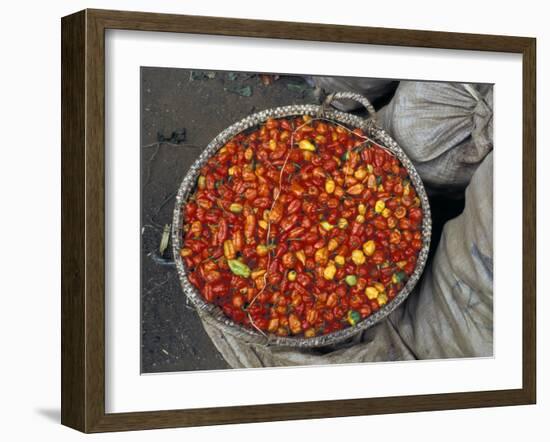 Hot Red Pepper at the Local Market, Madagascar-Michele Molinari-Framed Photographic Print