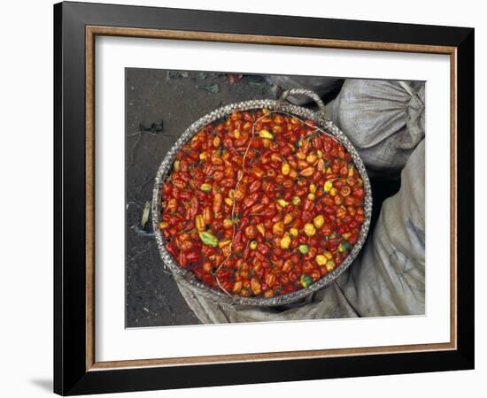 Hot Red Pepper at the Local Market, Madagascar-Michele Molinari-Framed Photographic Print