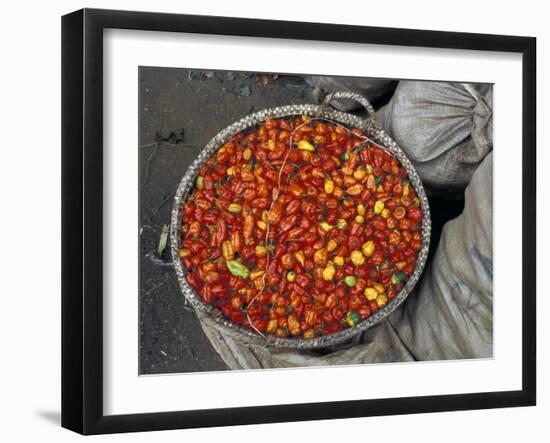 Hot Red Pepper at the Local Market, Madagascar-Michele Molinari-Framed Photographic Print