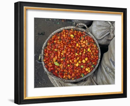 Hot Red Pepper at the Local Market, Madagascar-Michele Molinari-Framed Photographic Print