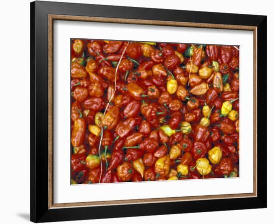 Hot Red Pepper at the Local Market, Madagascar-Michele Molinari-Framed Photographic Print