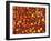 Hot Red Pepper at the Local Market, Madagascar-Michele Molinari-Framed Photographic Print