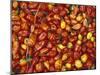 Hot Red Pepper at the Local Market, Madagascar-Michele Molinari-Mounted Photographic Print