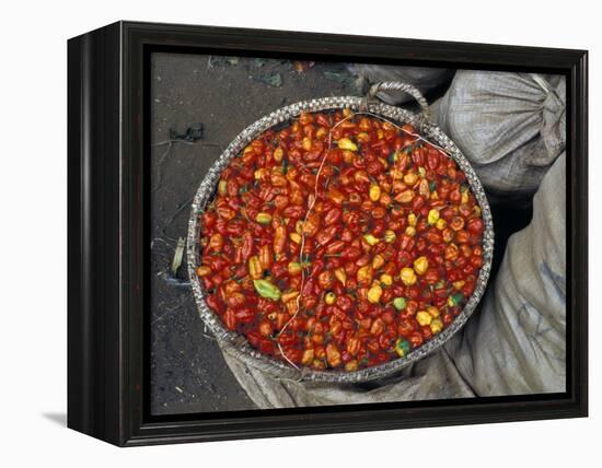 Hot Red Pepper at the Local Market, Madagascar-Michele Molinari-Framed Premier Image Canvas