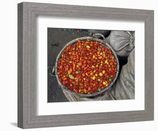 Hot Red Pepper at the Local Market, Madagascar-Michele Molinari-Framed Photographic Print