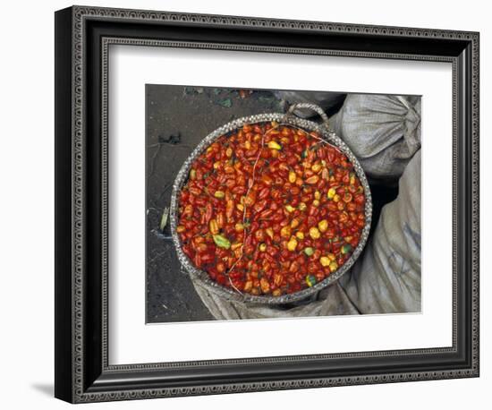 Hot Red Pepper at the Local Market, Madagascar-Michele Molinari-Framed Photographic Print