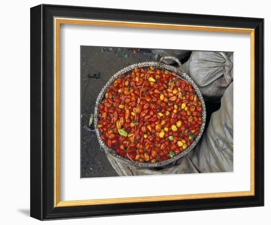 Hot Red Pepper at the Local Market, Madagascar-Michele Molinari-Framed Photographic Print