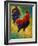 Hot Shot Rooster-Marion Rose-Framed Giclee Print