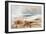 Hot Springs of the Yellowstone, 1872-Thomas Moran-Framed Giclee Print