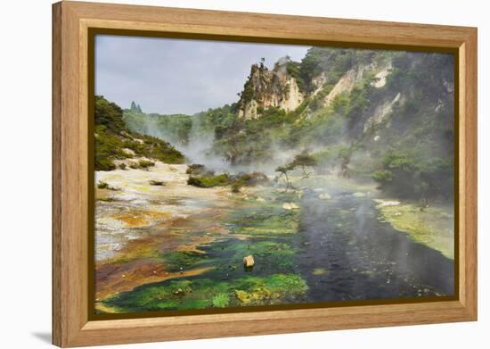 Hot Springs, Waimangu Volcanic Valley, Rotorua, Bay of Plenty, North Island, New Zealand-Rainer Mirau-Framed Premier Image Canvas