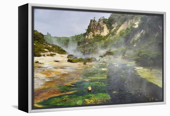 Hot Springs, Waimangu Volcanic Valley, Rotorua, Bay of Plenty, North Island, New Zealand-Rainer Mirau-Framed Premier Image Canvas